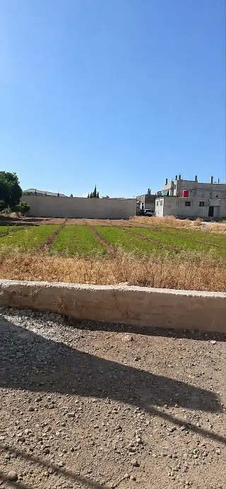 أرض زراعية 2000 م² بطابو أخضر نظامي في مركز داريا بريف دمشق