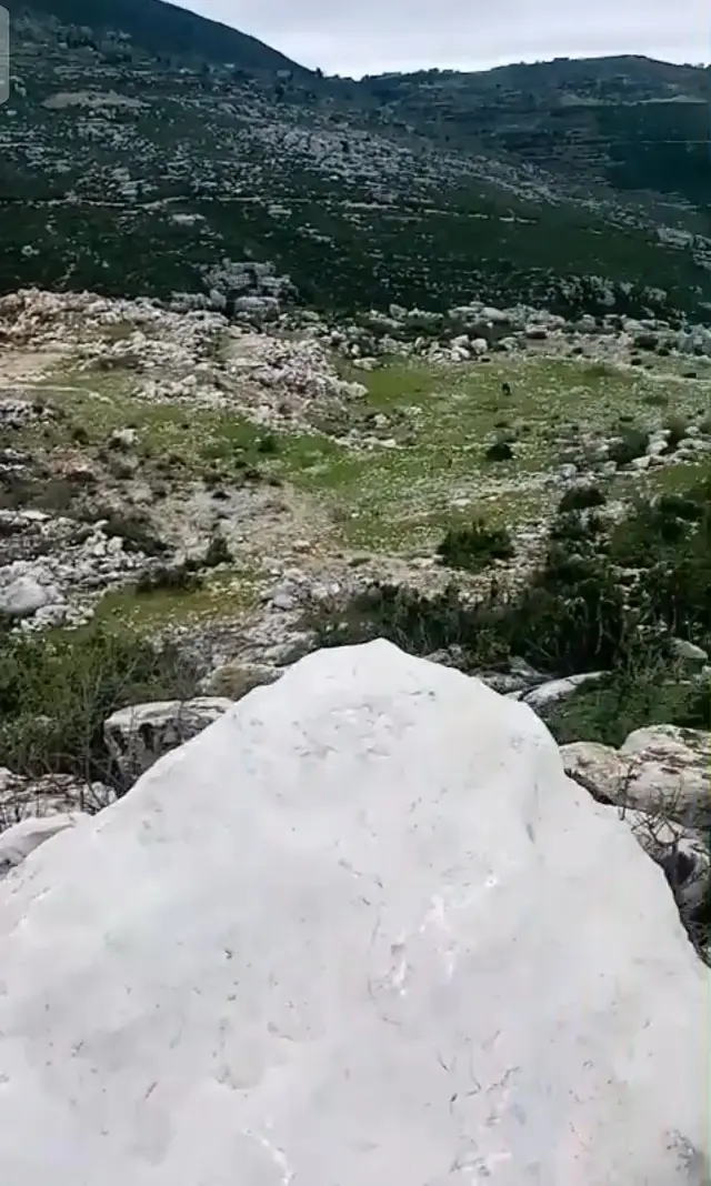 أرض زراعية بمساحة 9300 م² في بلتعا بصلنفة، طابو أخضر نظامي - صورة 2