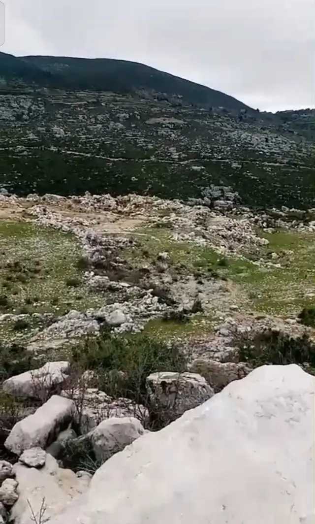 أرض زراعية بمساحة 9300 م² في بلتعا بصلنفة، طابو أخضر نظامي - صورة 4