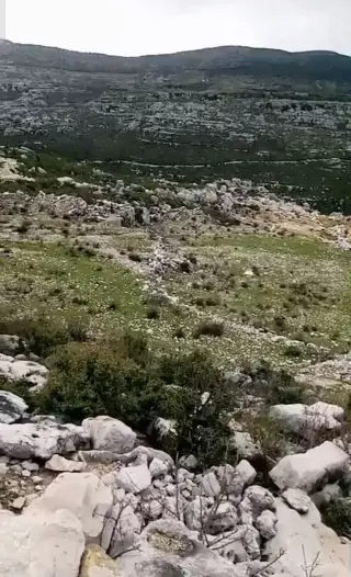 أرض زراعية بمساحة 9300 م² في بلتعا بصلنفة، طابو أخضر نظامي