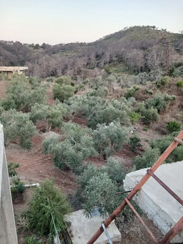 أرض سياحية بطابو أخضر بمساحة 1500 م² قرب قسطل معاف في اللاذقية - صورة 3