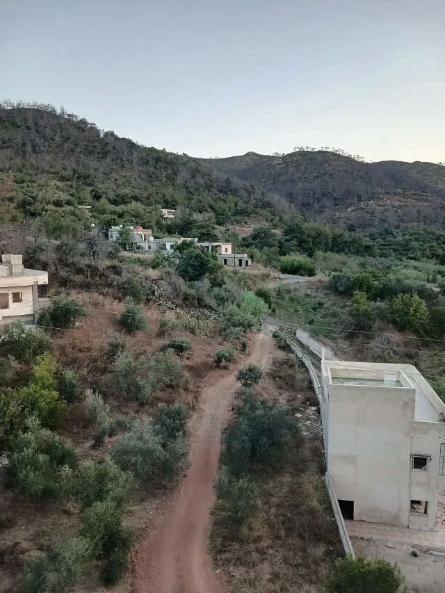 أرض سياحية بطابو أخضر بمساحة 1500 م² قرب قسطل معاف في اللاذقية - صورة 8