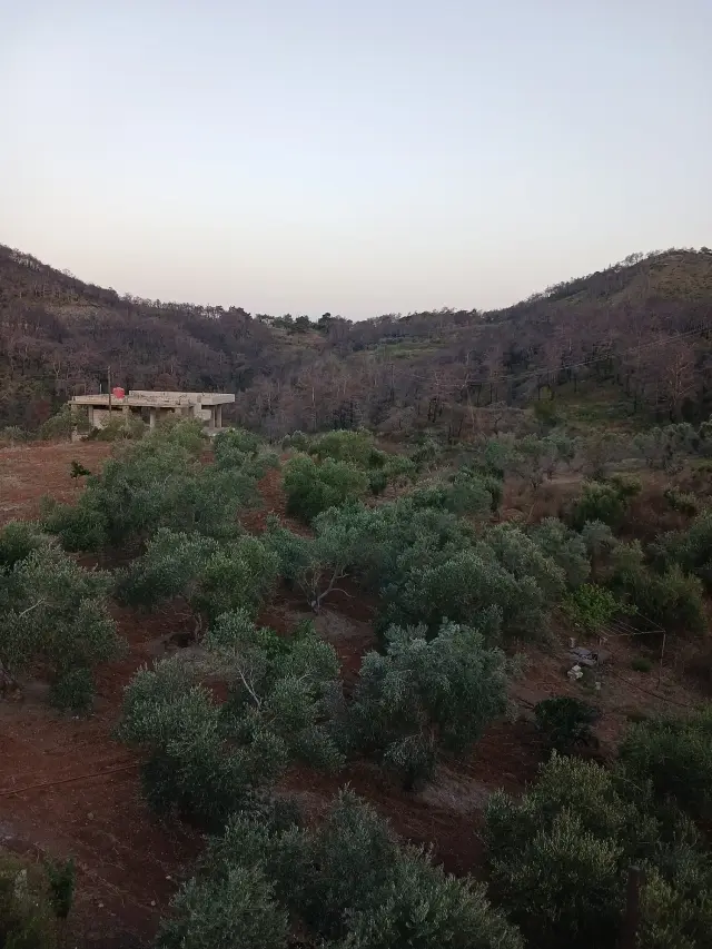أرض سياحية بطابو أخضر بمساحة 1500 م² قرب قسطل معاف في اللاذقية - صورة 4