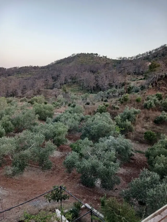 أرض سياحية بطابو أخضر بمساحة 1500 م² قرب قسطل معاف في اللاذقية - صورة 9