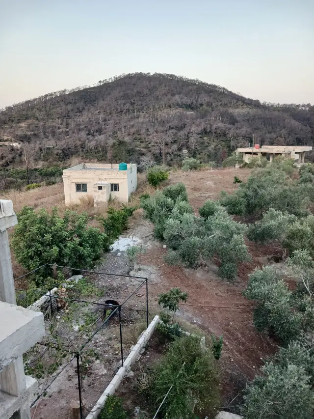 أرض سياحية بطابو أخضر بمساحة 1500 م² قرب قسطل معاف في اللاذقية - صورة 5