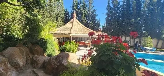 فيلا النخلة - صورة 7