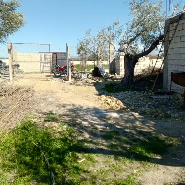 أرض زراعية 1400 م² بطابو أخضر في المشروع العاشر باللاذقية - صورة 4